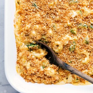 Chicken tortellini in a casserole dish, freshly baked with a golden crust on top.