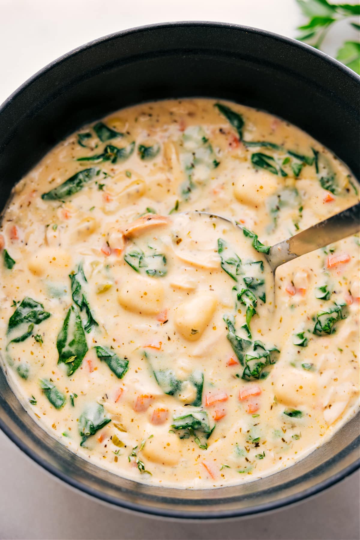 Pick up some Chicken Gnocchi Soup from the pot with a ladle.