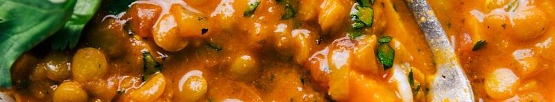 Savory lentil curry in a dish with a fork, accompanied by fresh cilantro and a side of rice.