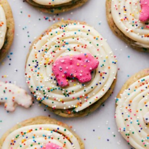 Finished decorated and delicious animal circus cookies generously frosted with colorful sprinkles added on top.