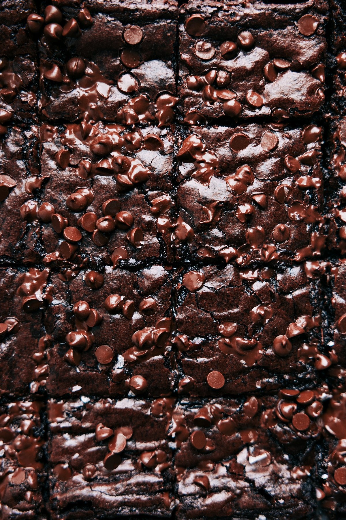 Freshly baked brownie recipe—warm, melty, and fudgy.