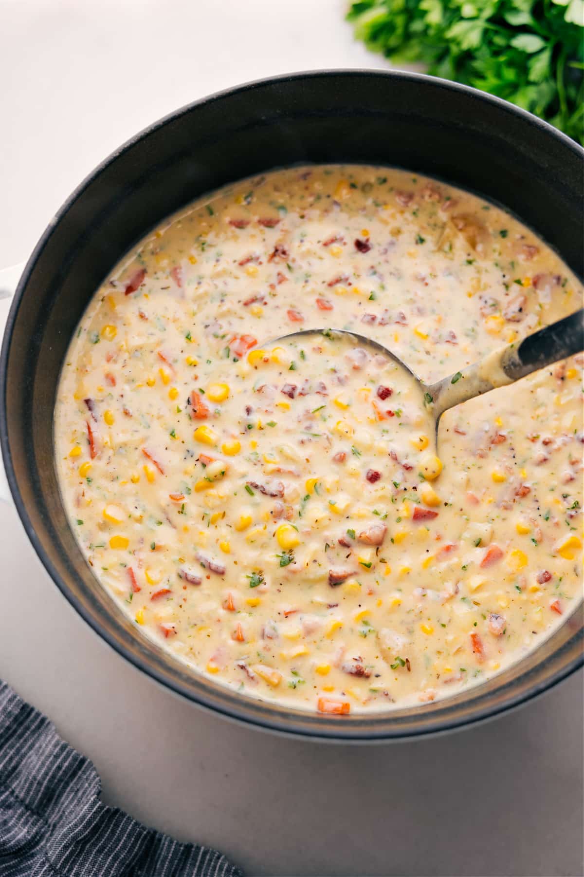 A big ladle scoops some soup from the pot to be enjoyed.