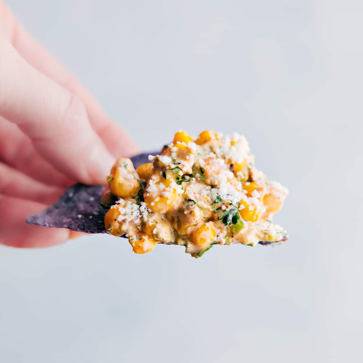 A chip with the Mexican Street Corn Dip on it showing all the creamy deliciousness.
