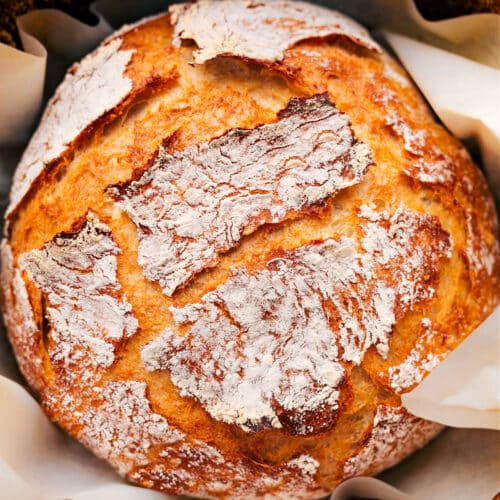 No-Knead Bread (Step-By-Step Pictures & Video) - Chelsea's Messy Apron