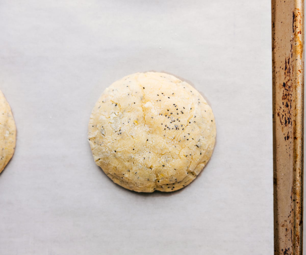 Lemon Poppy Seed Cookies fresh out of the oven ready to be enjoyed.