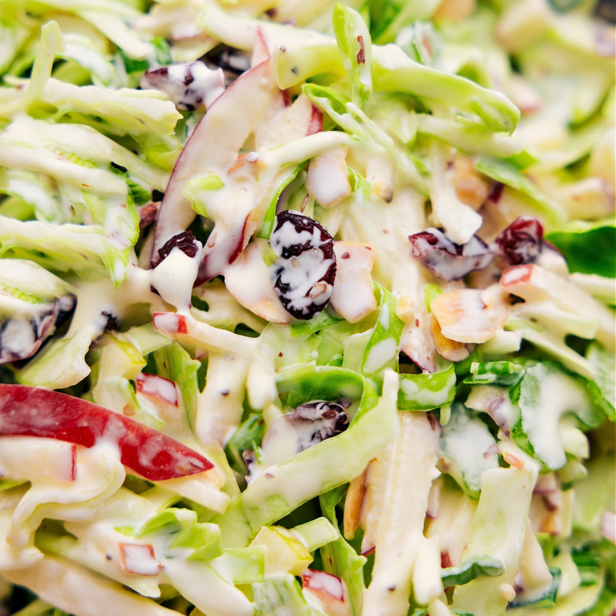 Apple coleslaw tossed together, dressed, and ready to be enjoyed.