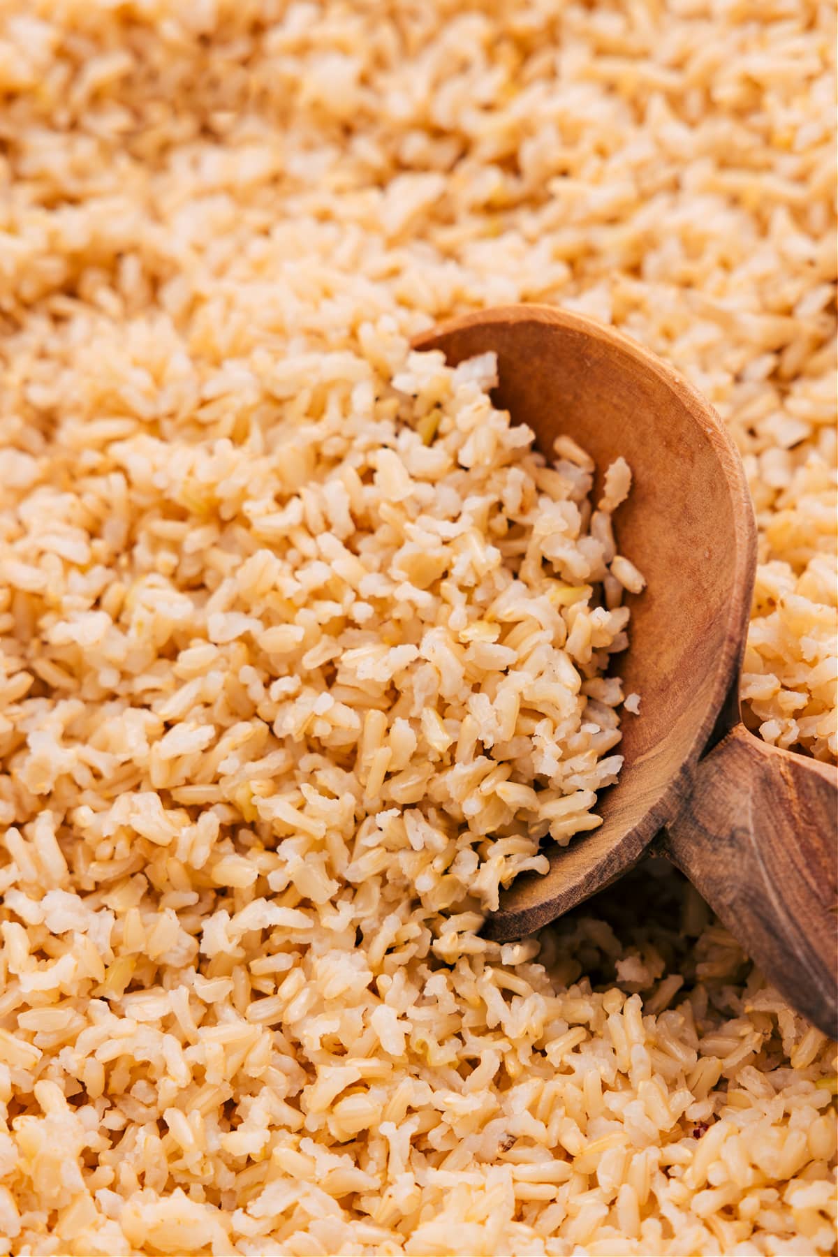 The ultimate fluffy brown rice recipe.